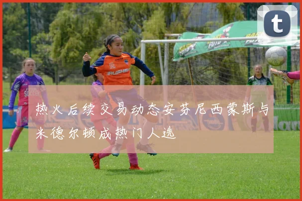 热火后续交易动态安芬尼西蒙斯与米德尔顿成热门人选